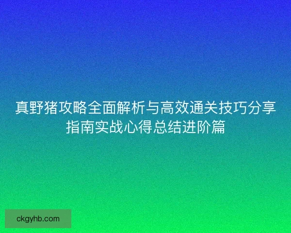 真野猪攻略全面解析与高效通关技巧分享指南实战心得总结进阶篇