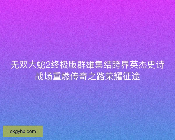 无双大蛇2终极版群雄集结跨界英杰史诗战场重燃传奇之路荣耀征途